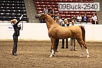 09buck-2540 proof