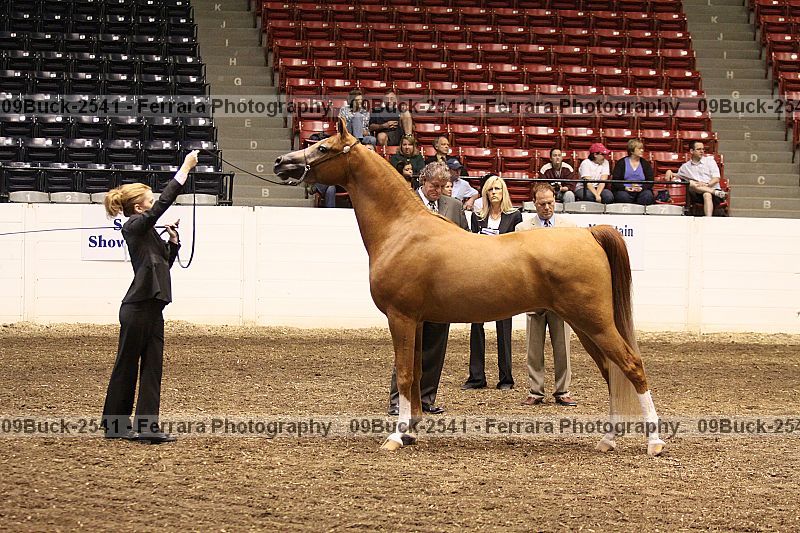 Proof 09buck-2541