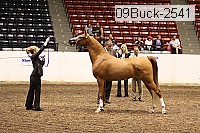 09buck-2541 proof
