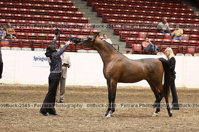 Proof 09buck-2545