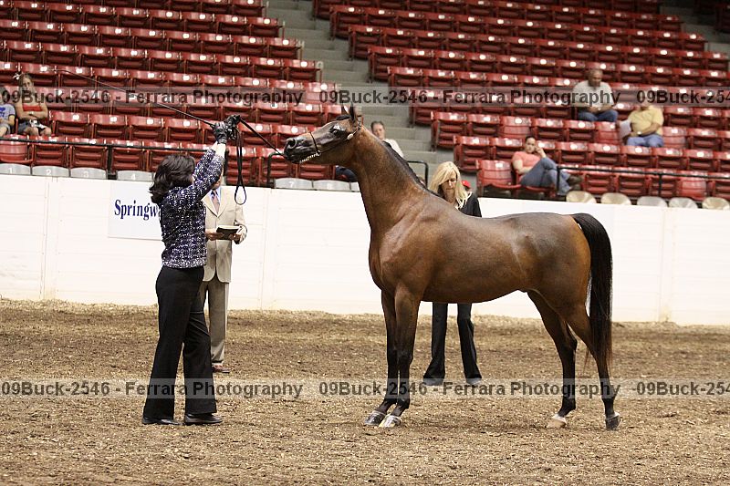 Proof 09buck-2546