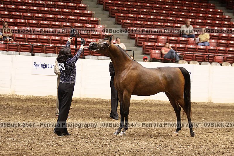 Proof 09buck-2547
