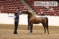 09buck-2547 proof