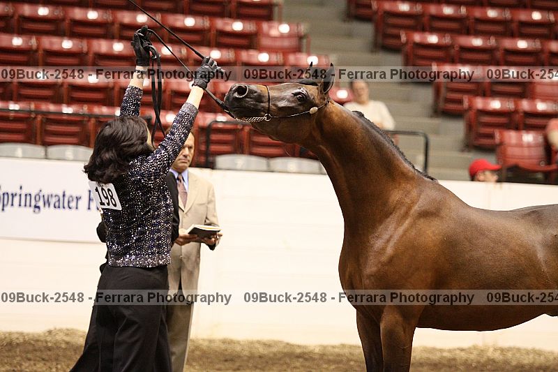 Proof 09buck-2548