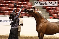 09buck-2548 proof