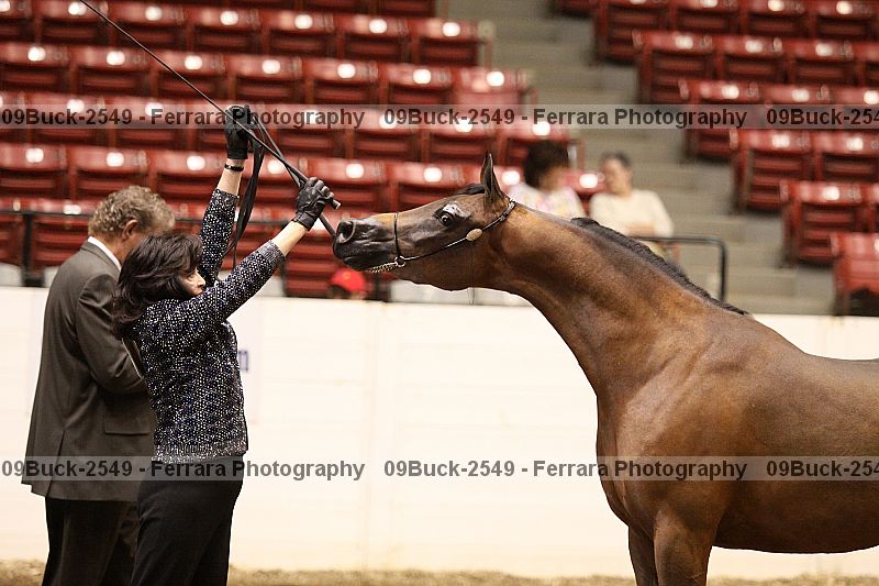 Proof 09buck-2549