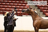 09buck-2550 proof