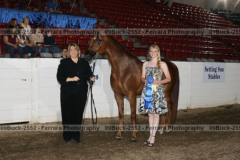 Proof 09buck-2552