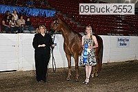 09buck-2552 proof