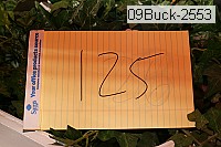 09buck-2553 proof