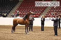 09buck-2563 proof