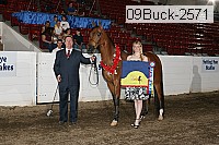 09buck-2571 proof