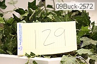 09buck-2572 proof
