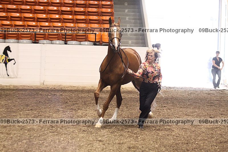 Proof 09buck-2573