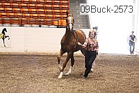 09buck-2573 proof