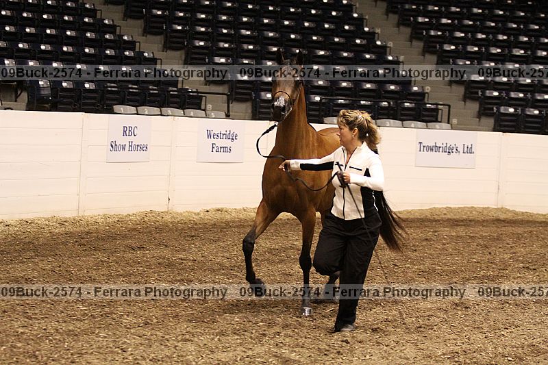 Proof 09buck-2574