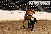 09buck-2574 proof