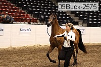 09buck-2575 proof
