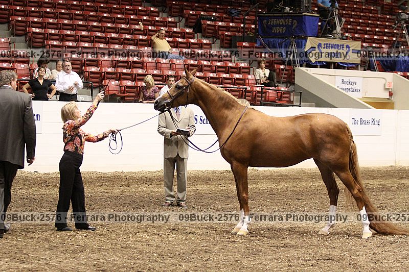 Proof 09buck-2576