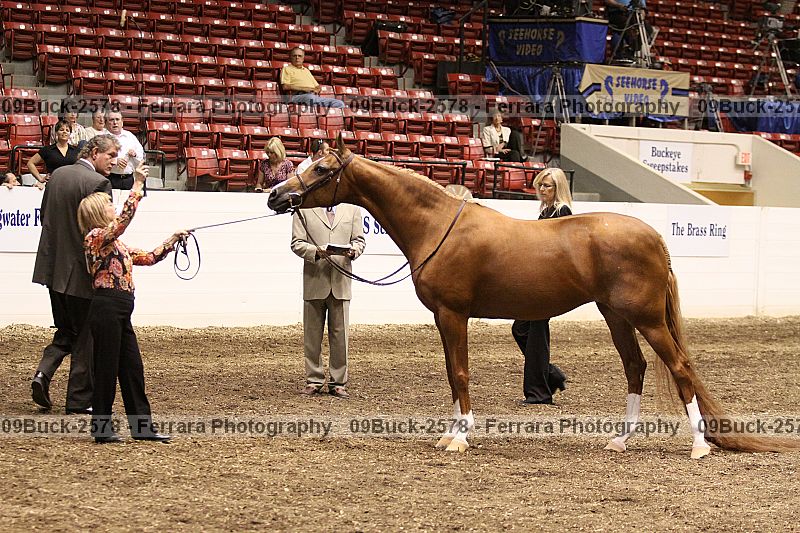 Proof 09buck-2578