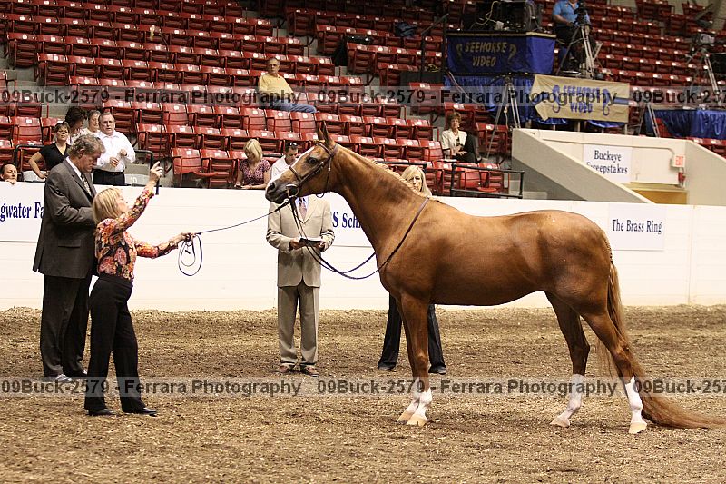 Proof 09buck-2579