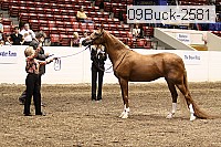 09buck-2581 proof