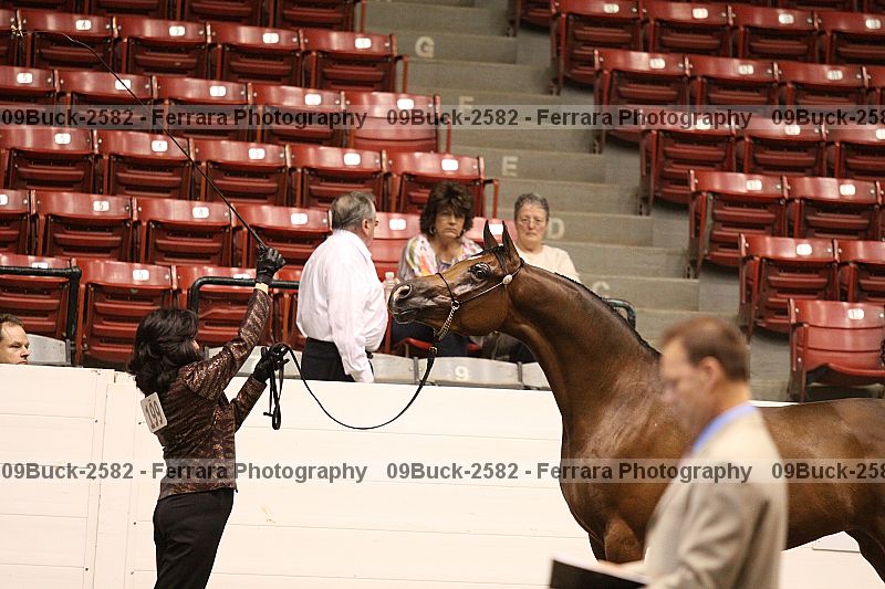 Proof 09buck-2582