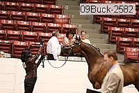 09buck-2582 proof