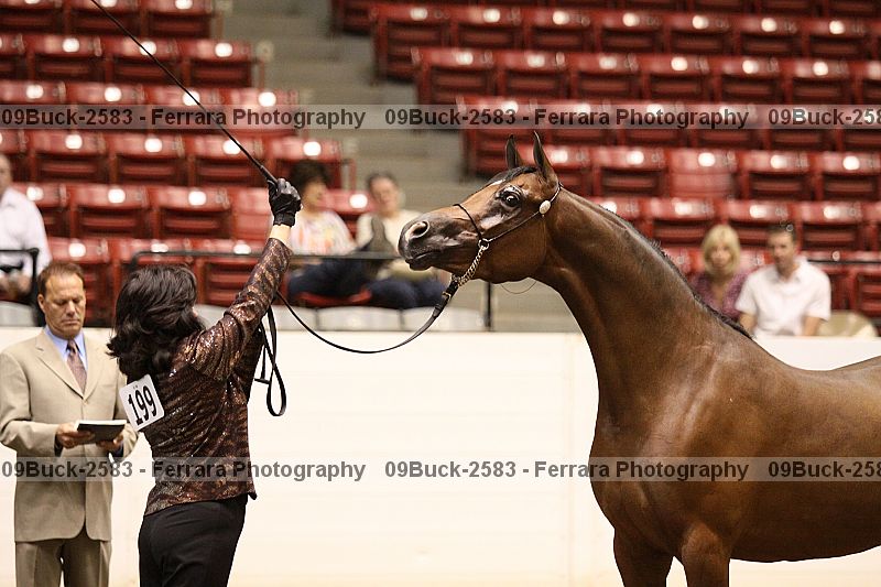 Proof 09buck-2583