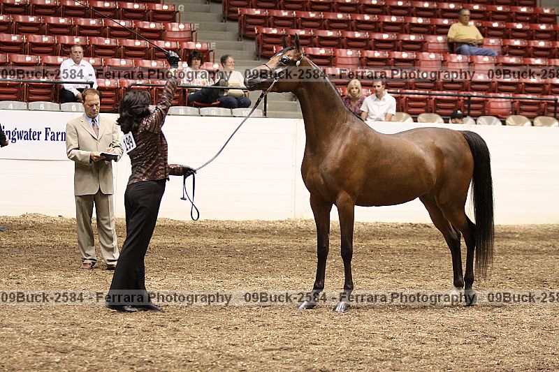 Proof 09buck-2584