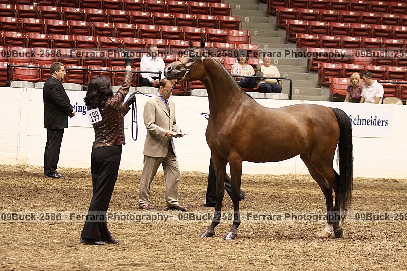 Proof 09buck-2586