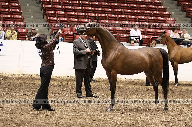 Proof 09buck-2587