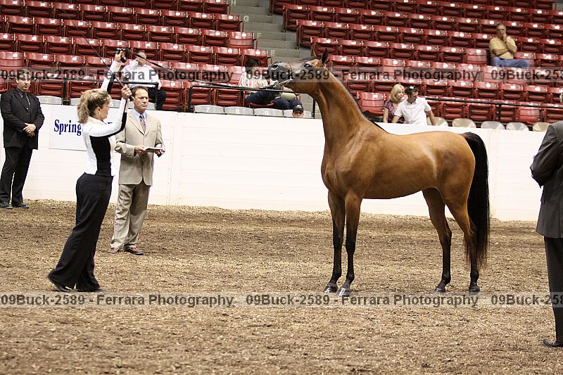 Proof 09buck-2589