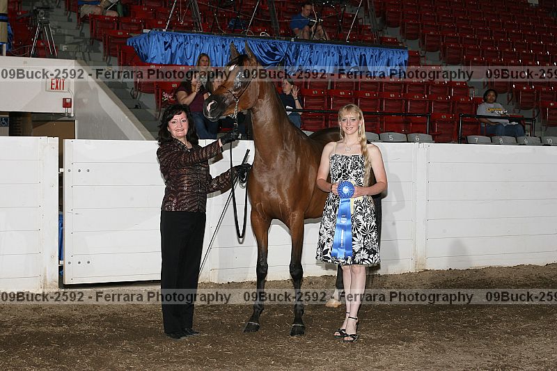 Proof 09buck-2592