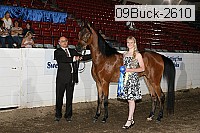 09buck-2610 proof