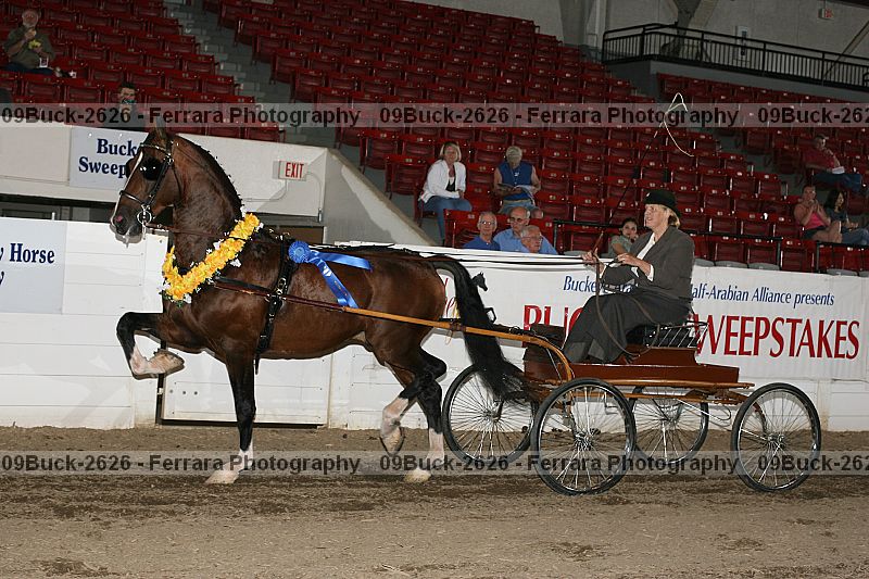 Proof 09buck-2626