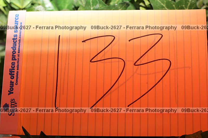 Proof 09buck-2627