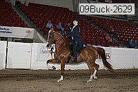 09buck-2629 proof