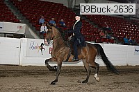 09buck-2636 proof