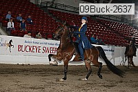 09buck-2637 proof