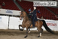 09buck-2647 proof