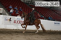 09buck-2648 proof