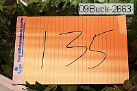 09buck-2663 proof