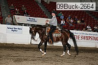 09buck-2664 proof