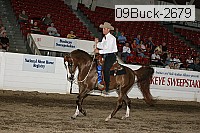 09buck-2679 proof