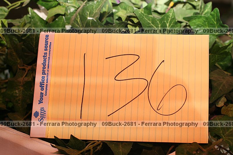 Proof 09buck-2681