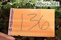 09buck-2681 proof