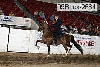 09buck-2684 proof