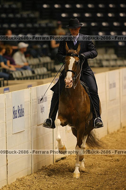 Proof 09buck-2686