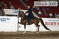09buck-2688 proof